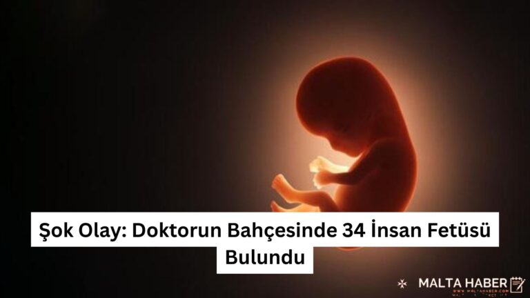 Şok Olay: Doktorun Bahçesinde 34 İnsan Fetüsü Bulundu