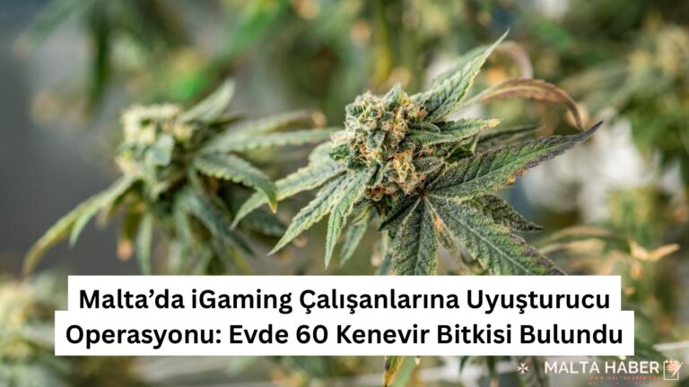 Malta’da iGaming Çalışanlarına Uyuşturucu Operasyonu: Evde 60 Kenevir Bitkisi Bulundu