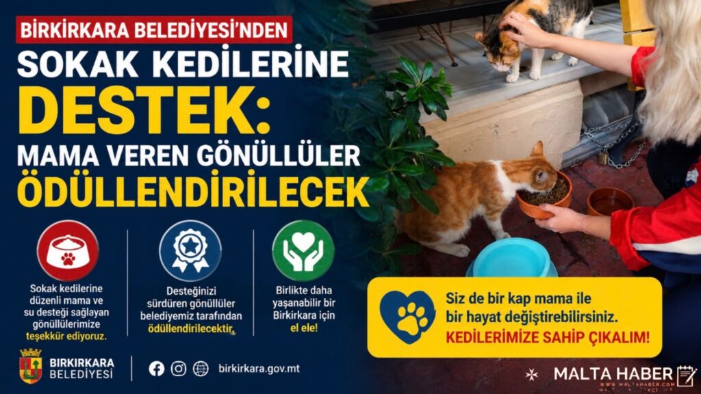 Birkirkara Belediyesi’nden Sokak Kedilerine Destek: Mama Veren Gönüllüler Ödüllendirilecek