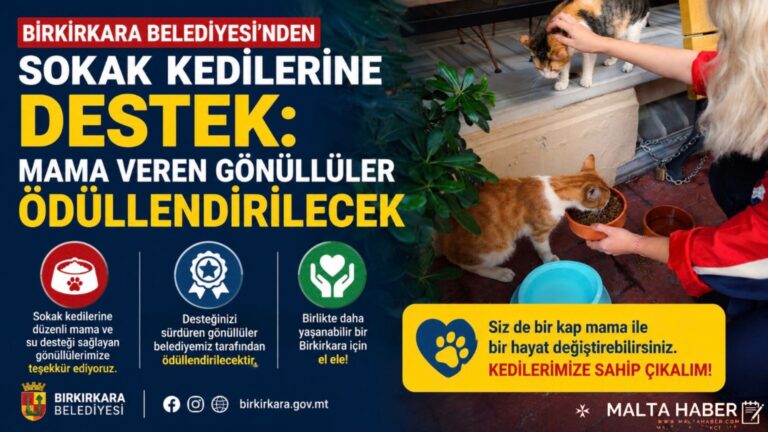 Birkirkara Belediyesi’nden Sokak Kedilerine Destek: Mama Veren Gönüllüler Ödüllendirilecek