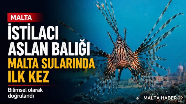 İstilacı aslan balığı Malta sularında ilk kez bilimsel olarak doğrulandı