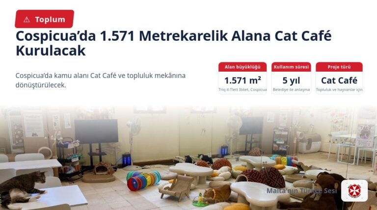 Cospicua’da 1.571 Metrekarelik Alana Cat Café Kurulacak