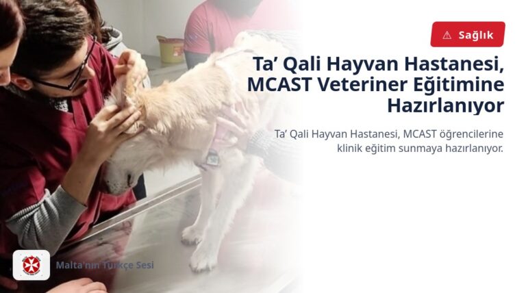 Ta’ Qali Hayvan Hastanesi, MCAST Veteriner Eğitimine Hazırlanıyor