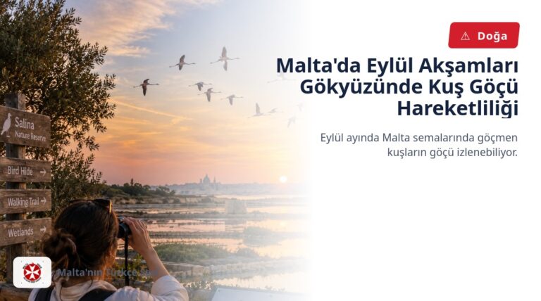 Malta’da Eylül Akşamları Gökyüzünde Kuş Göçü Hareketliliği