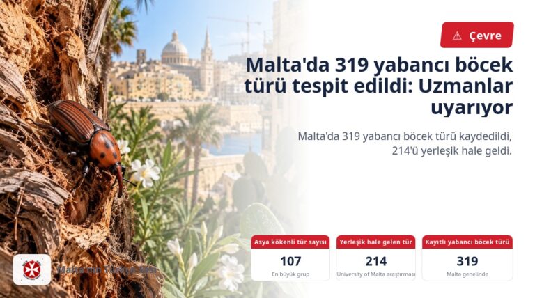 Malta’da 319 yabancı böcek türü tespit edildi: Uzmanlar uyarıyor