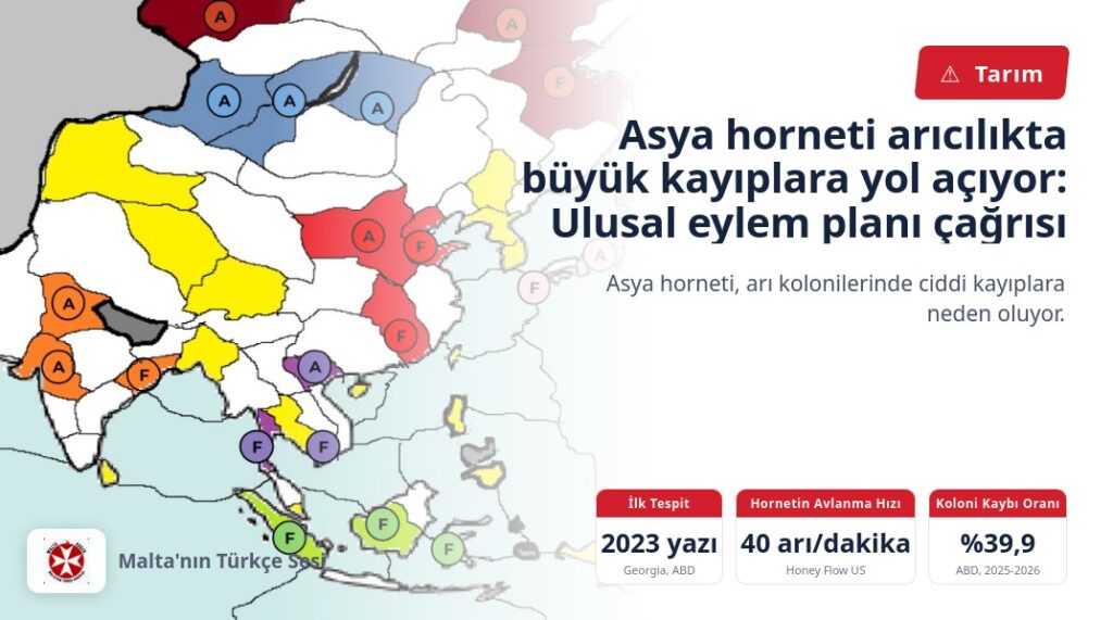 Asya horneti arıcılıkta büyük kayıplara yol açıyor: Ulusal eylem planı çağrısı