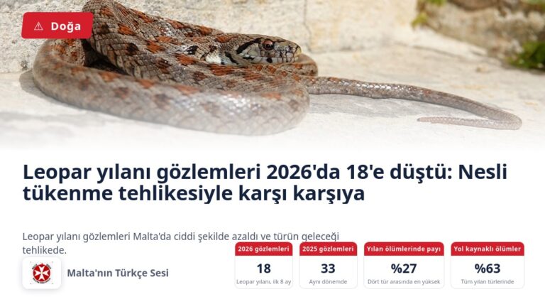 Leopar yılanı gözlemleri 2026’da 18’e düştü: Nesli tükenme tehlikesiyle karşı karşıya