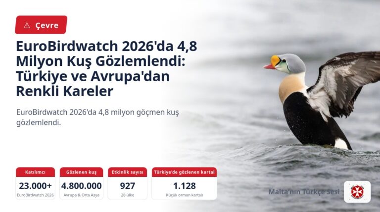EuroBirdwatch 2026’da 4,8 Milyon Kuş Gözlemlendi: Türkiye ve Avrupa’dan Renkli Kareler