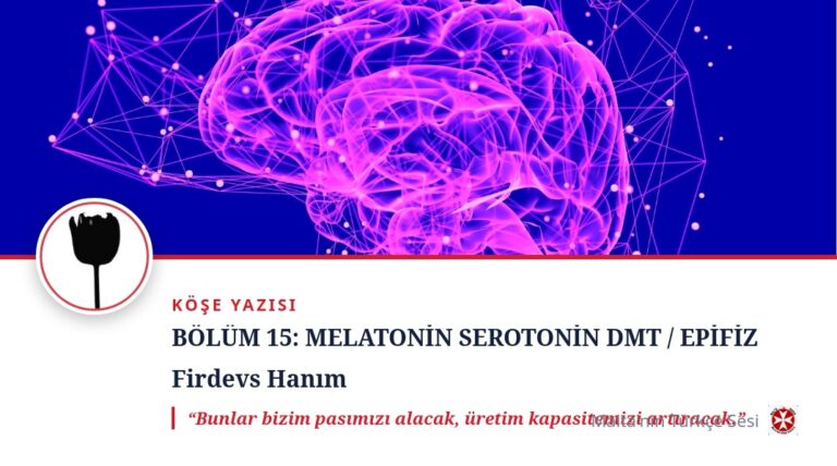 BÖLÜM 15: MELATONİN SEROTONİN DMT / EPİFİZ